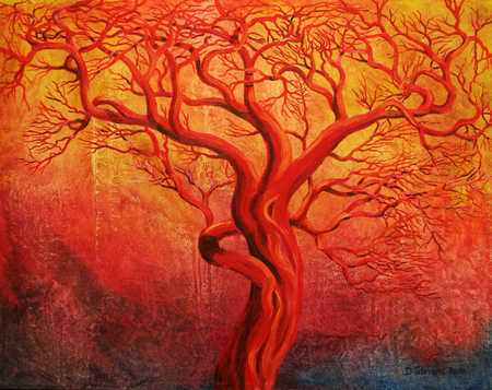 Arbutus Tangle 2016
